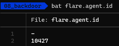 08_backdoor-flare-agent-id.png